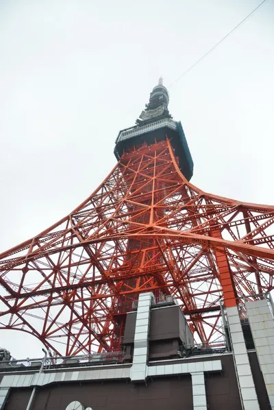 DSC_3241 (Large).JPG